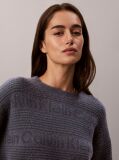 Blue Cotton Wool Textured Logo Jumper  Women