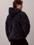 Blue Sherpa Fleece Emblem Zip Hoodie  Men