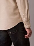 Beige Solid Classic Oxford Button-Down Shirt  Men