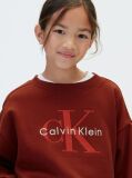 Red Kids' Signature Logo Sweatshirt  Girls