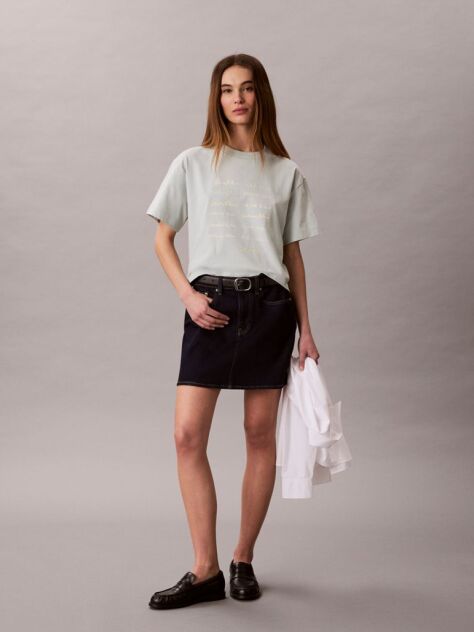 Γκρι Κοντομάνικο T-Shirt Με Graphic Τύπωμα Και Crop Boxy Γραμμή  Γυναίκα