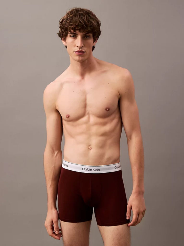 Multi 3 Pack Boxer Briefs - Modern Cotton  Men