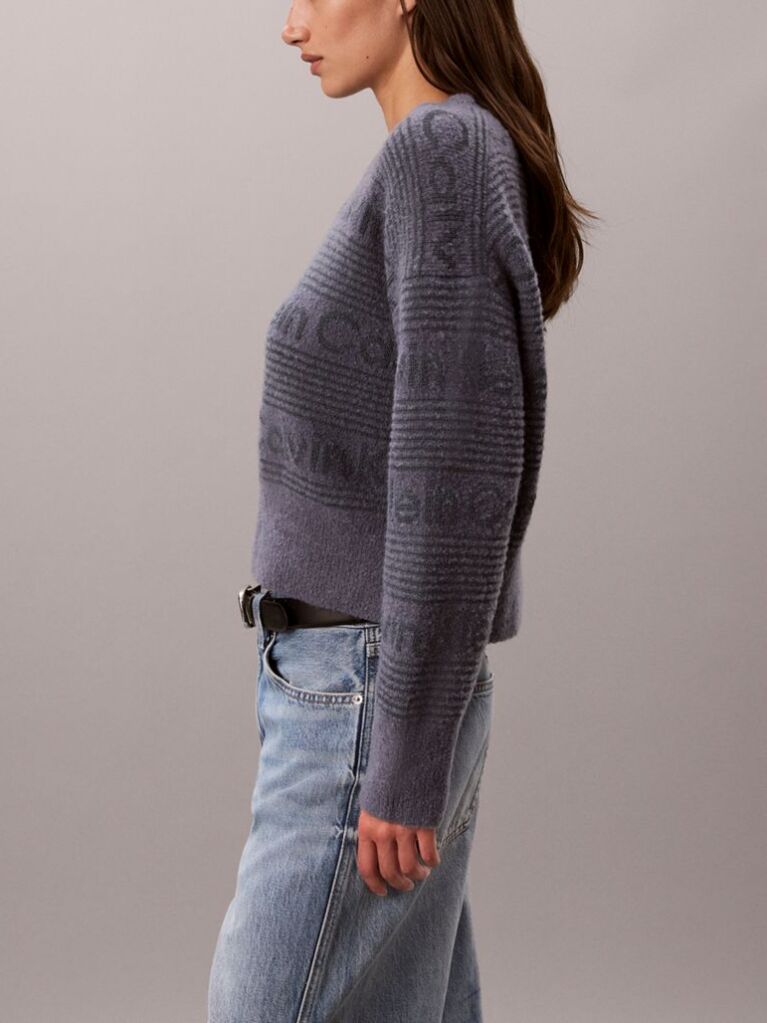 Blue Cotton Wool Textured Logo Jumper  Women